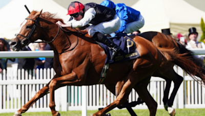 Jump at the chance to back Pogo at Glorious Goodwood