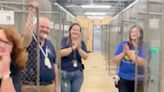 After Months of Overcrowding, Fla. Shelter Celebrates 'Completely Empty' Cages from Adoption Event