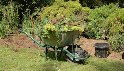 Kerbside garden waste trial put on hold