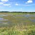 Shiawassee National Wildlife Refuge