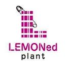 Lemoned Plant