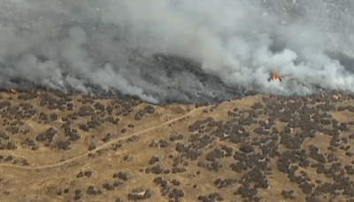 All lanes are open after brush fire on MCAS Miramar prompts partial closure of westbound SR-52