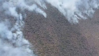 Incendio sin control en Oaxaca alcanza a la Reserva de Biosfera