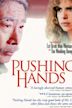 Pushing Hands