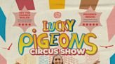 Lucky Pigeons in UK Regional at Wandsworth Arts Fringe 2024