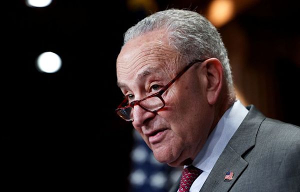 Schumer and Senate Democrats call for Justice Department to probe Big Oil for alleged collusion