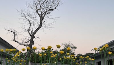 中原文創園區「永續光環境創意展」 即日起至10/13受理報名