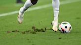 UEFA has plan to fix turf problems in Frankfurt