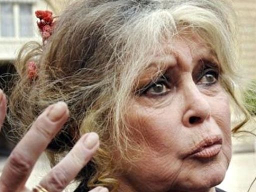 French star Brigitte Bardot slams Japan's 'manhunt' against anti-whaling activist