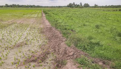 AIADMK demands payment of ₹30,000 per acre to all Cauvery delta farmers