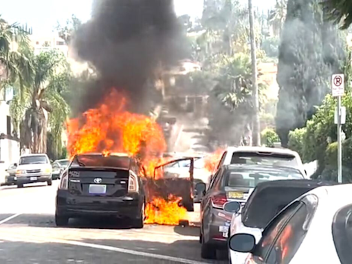 Axe-wielding woman torches cars in violent Hollywood Hills rampage