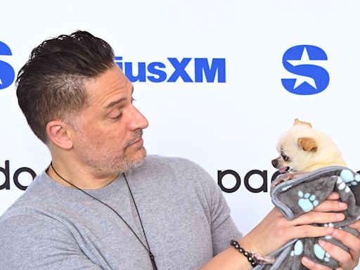 Joe Manganiello Wishes Happy Birthday to His Precious Rescue Chihuahua in Adorable Post