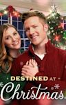 Destined at Christmas