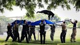 Watch This Bear Fall From A Tree Into A Tarp Held By First Responders | iHeart