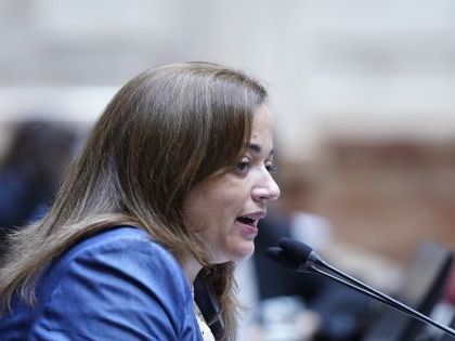 Cecilia Moreau cree que Sandra Pettovello no llegará a presentarse a dar explicaciones en Diputados