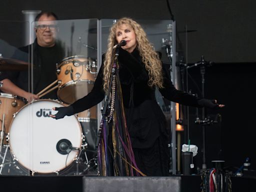 Stevie Nicks says she postponed 2 shows after an infection 'went crazy' and landed her in hospital