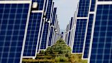 La fotovoltaica ya cubre la mitad de la nueva demanda de electricidad en el mundo