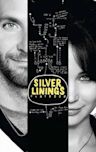 Silver Linings Playbook