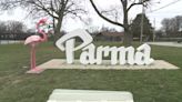 3 arrested in Parma flamingo vandalism