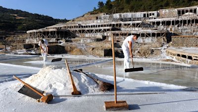 El Valle Salado de Añana arranca la cosecha tardía de la sal: "Necesitamos dos días de calor seguidos porque la lluvia diluye la salmuera"