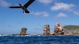Fundación Charles Darwin presenta nueva estrategia para la protección de Islas Galápagos