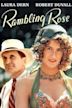 Rambling Rose (film)