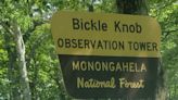 WV Land Trust transfers property below Bickle Knob to U.S. Forest Service