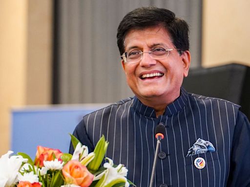 Piyush Goyal holds talk with 140 PLI beneficiary firms, estimates ₹2 lakh crore investment | Mint