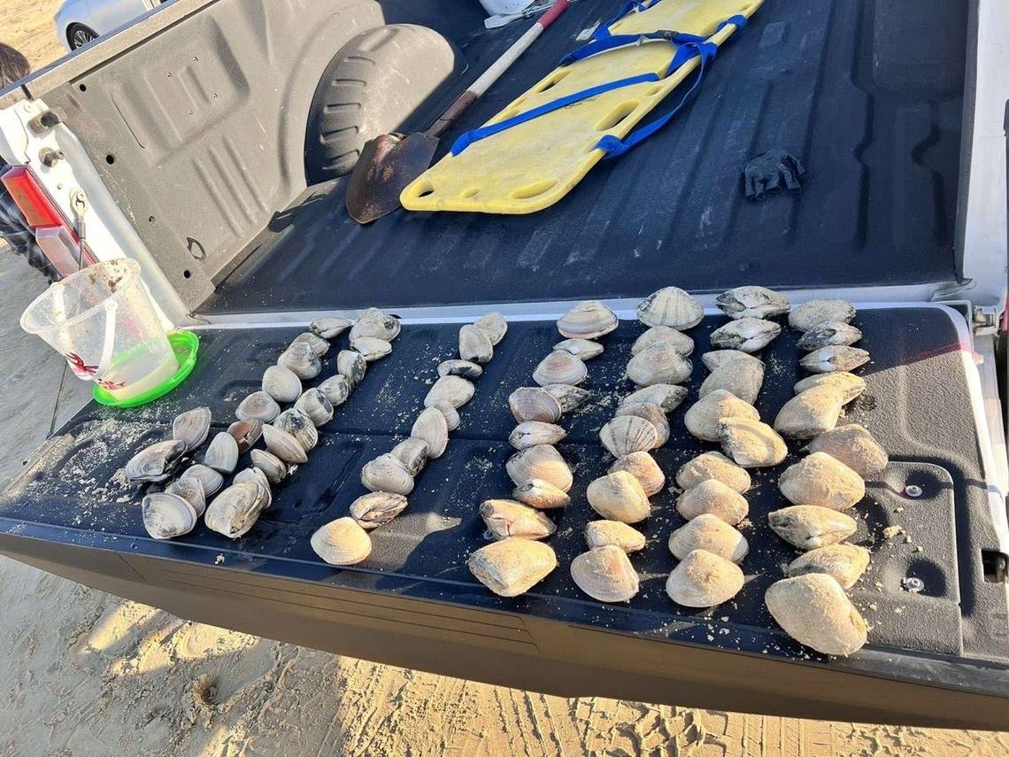 California woman hit with $88,000 fine after kids collected 72 Pismo clams. ‘I was in shock’