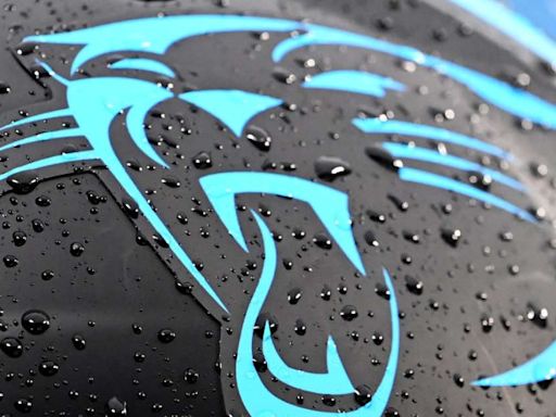 Carolina Panthers are possible wild card team according to analyst