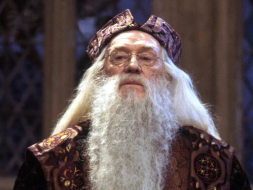 Jared Harris Does NOT Want To Fill Father's Shoes As Dumbledore, Questions Need For Harry Potter TV Reboot