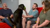 Gogglebox pays tribute to fan-favourite dog, Dave