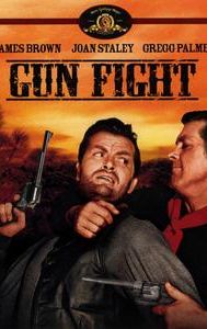 Gun Fight