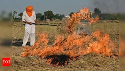 Uttar Pradesh Leads the Way in Stubble Conversion to Fertilizers with CBG Plants | Lucknow News - Times of India