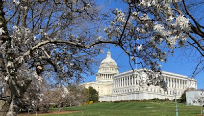 Six U.S. House Dems join GOP in condemning Harris, Biden administration over border policy