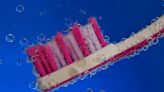 電動牙刷 傳統牙刷哪個更好用？養成刷牙習慣跟搭配「1物品」清潔更乾淨