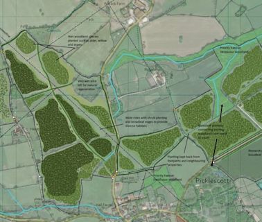 Residents' views wanted on plans for new 52-hectare Coronation Wood in south Shropshire