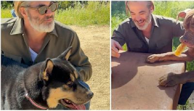 Chris Pine Goes On A Double Dodo Dream Date With His Two Incredible Foster Dogs