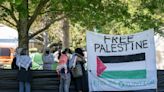 Pro-Palestine protesters erect encampment at UC Davis amid nationwide protests over war