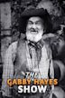 The Gabby Hayes Show