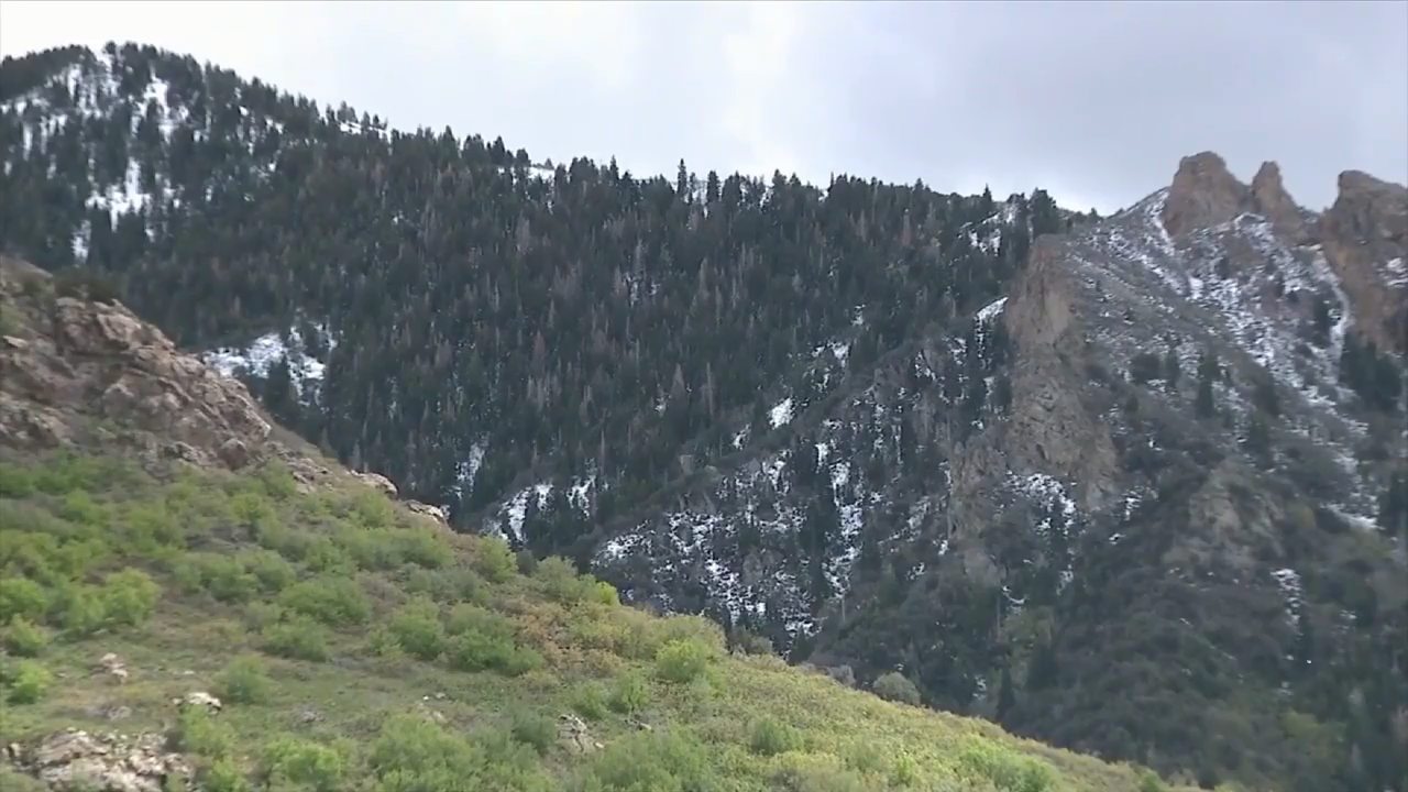 2 skiers killed after being caught in Utah avalanche following late spring snowstorms, sheriff says - WSVN 7News | Miami News, Weather, Sports | Fort Lauderdale