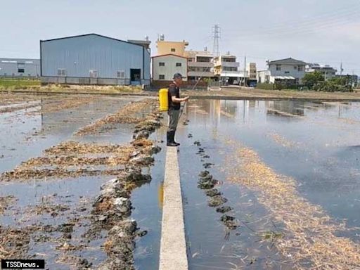 竹縣多方監控維護空品 露天燒稻草最高罰十萬