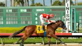 Practical Move, top Breeders' Cup horse, dies at Santa Anita of apparent cardiac event