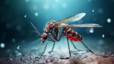 Rewriting Mosquito DNA to End Disease Spread