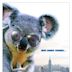 A Koala in Queens | Family