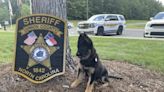 And the winner is … Union County Sheriff’s Office announces new name of new K-9 puppy