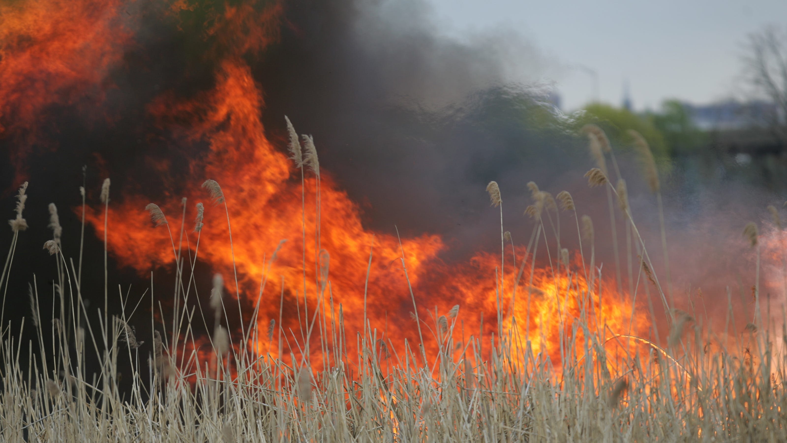 Large brush fire burning in Secaucus as NJ Transit rail service to NY Penn suspended