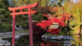 We were promised a new and improved Point Defiance Japanese garden. What happened?