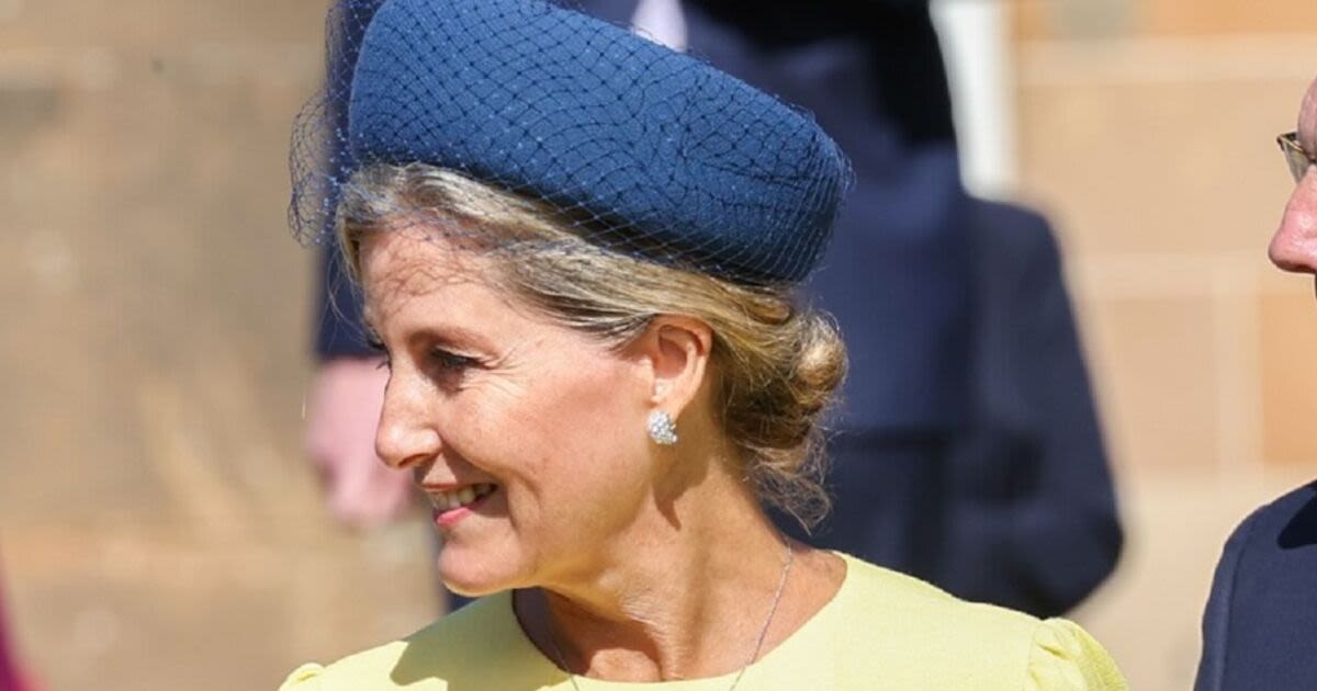 Sophie wows in bright yellow as she attends garden party in Northern Ireland