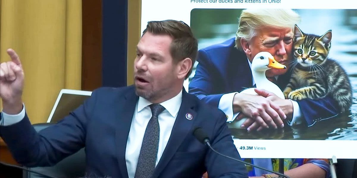 'Are you OK?' Dem confronts Jim Jordan for sharing fake image of Trump protecting a duck